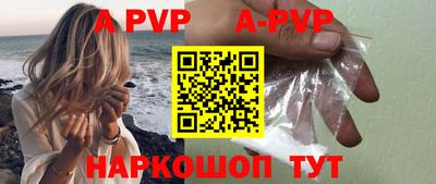 крисы Кингисепп