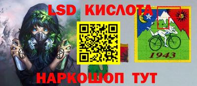 крисы Кингисепп