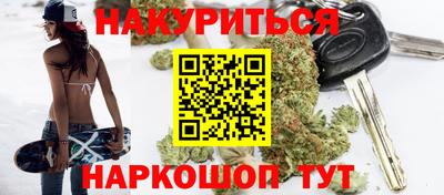 крисы Кингисепп