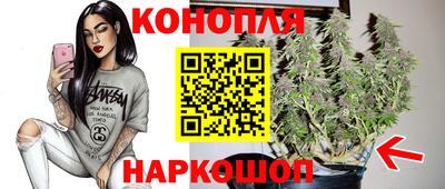 мет Кимры