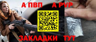 крисы Кингисепп