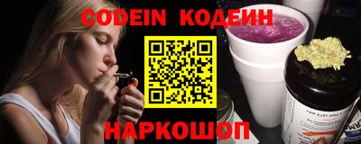 крисы Кингисепп