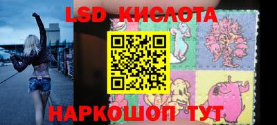 крисы Кингисепп
